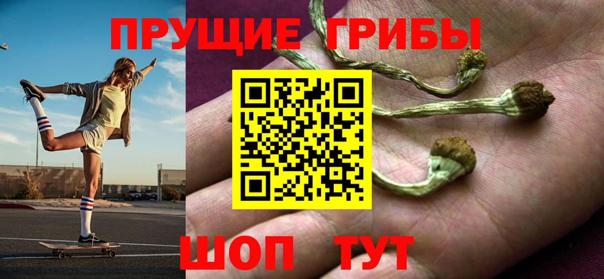 Псилоцибиновые грибы прущие грибы  Галлюциногенные грибы мухоморы  Артём  Вход с VPN 
